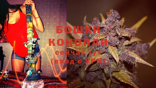 PSILOCYBIN Абдулино
