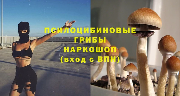 PSILOCYBIN Абдулино